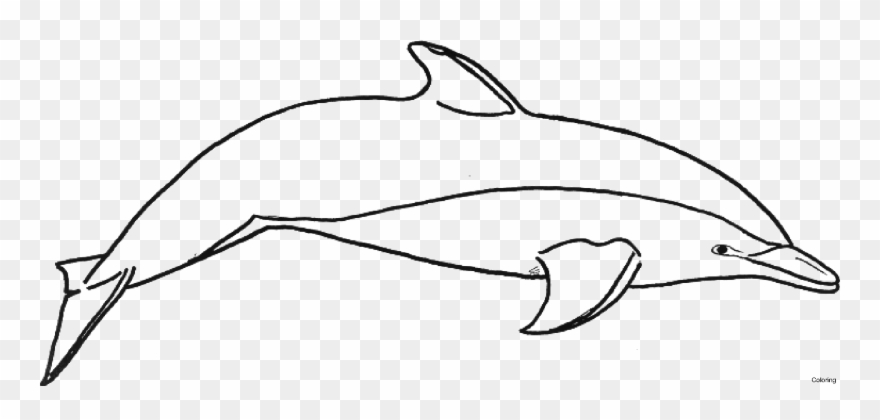 Dolphin Clipart Logo - Png Download