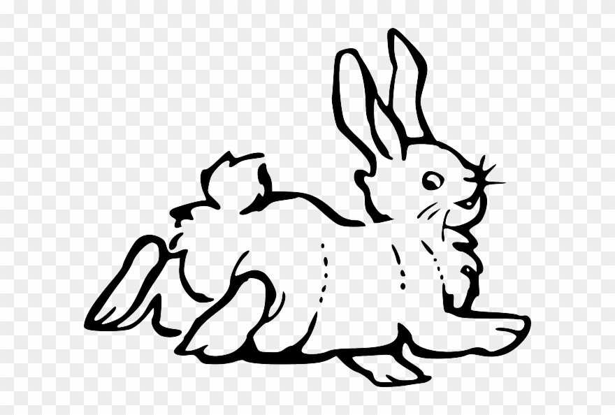 Rabbit Clipart