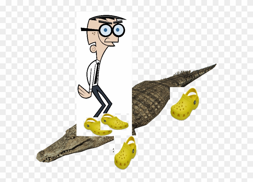 Crocker Wearing Crocs On A Crocodile Wearing Crocs Clipart
