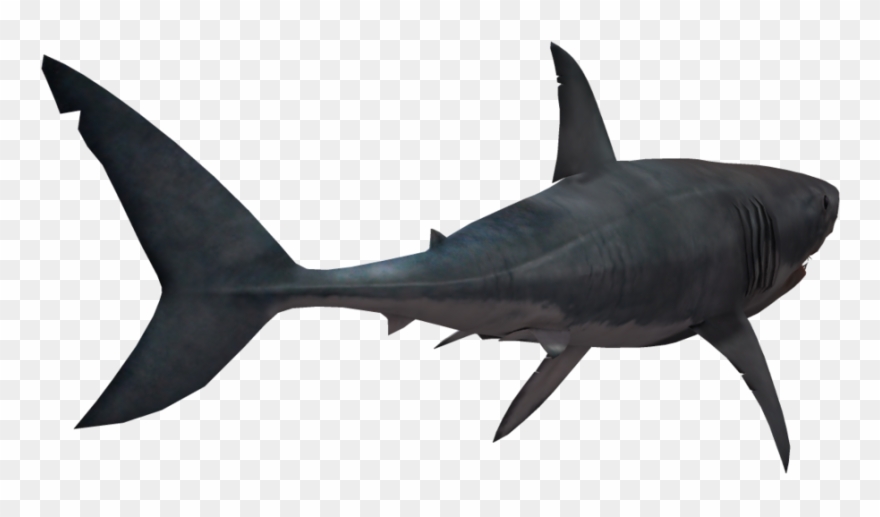 Great White Shark Clipart Outline - Png Download