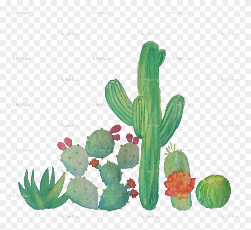 Banner Freeuse Download Cacti Fabric Erinmizedesigns Clipart