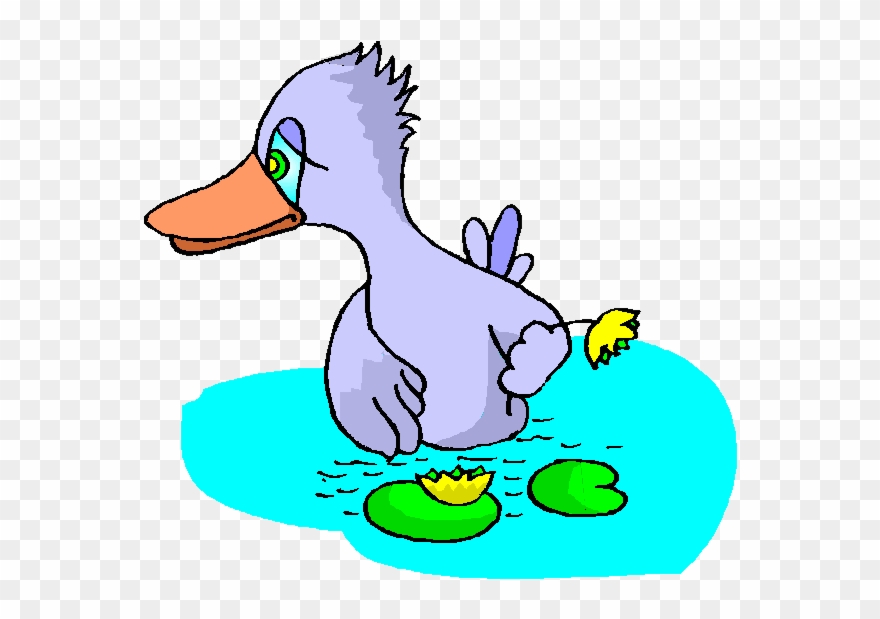 Проект по литературе 3 класс гадкий утенок. Хорошо ли умел плавать гадкий утенок ответ. Гадкий утенок союзмультфильм 1956. Презентация на тему гадкий утенок. Андерсон сказка гадкий утенок.