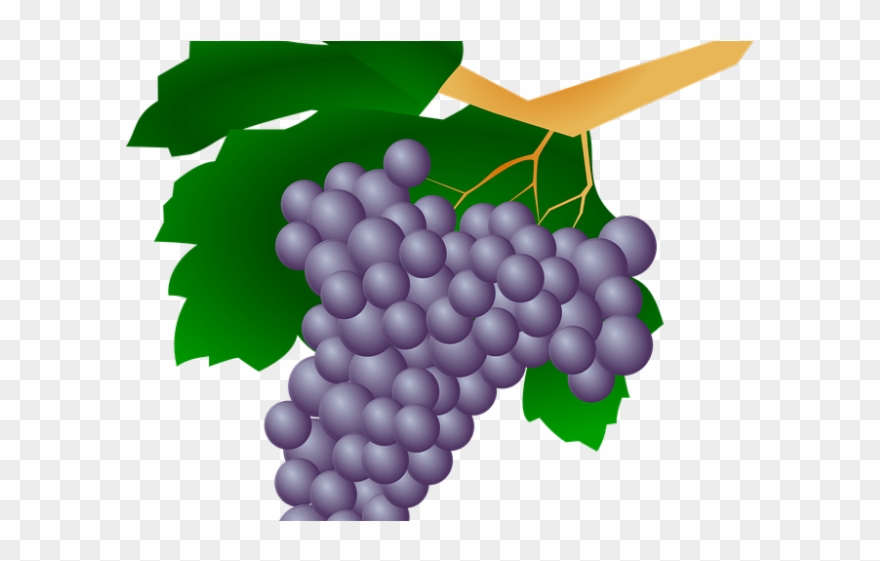 Grapes Clipart Uva - Png Download