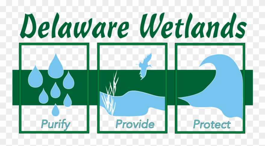 Delaware Wetland Management & Assessment Program Clipart