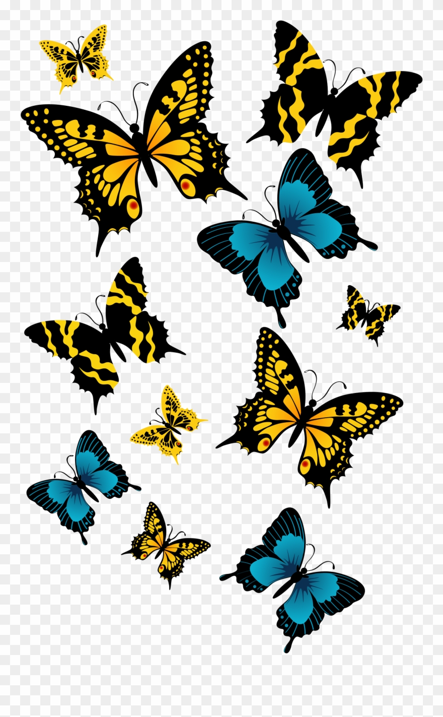 Butterflies Png Clipart Picture Transparent Png