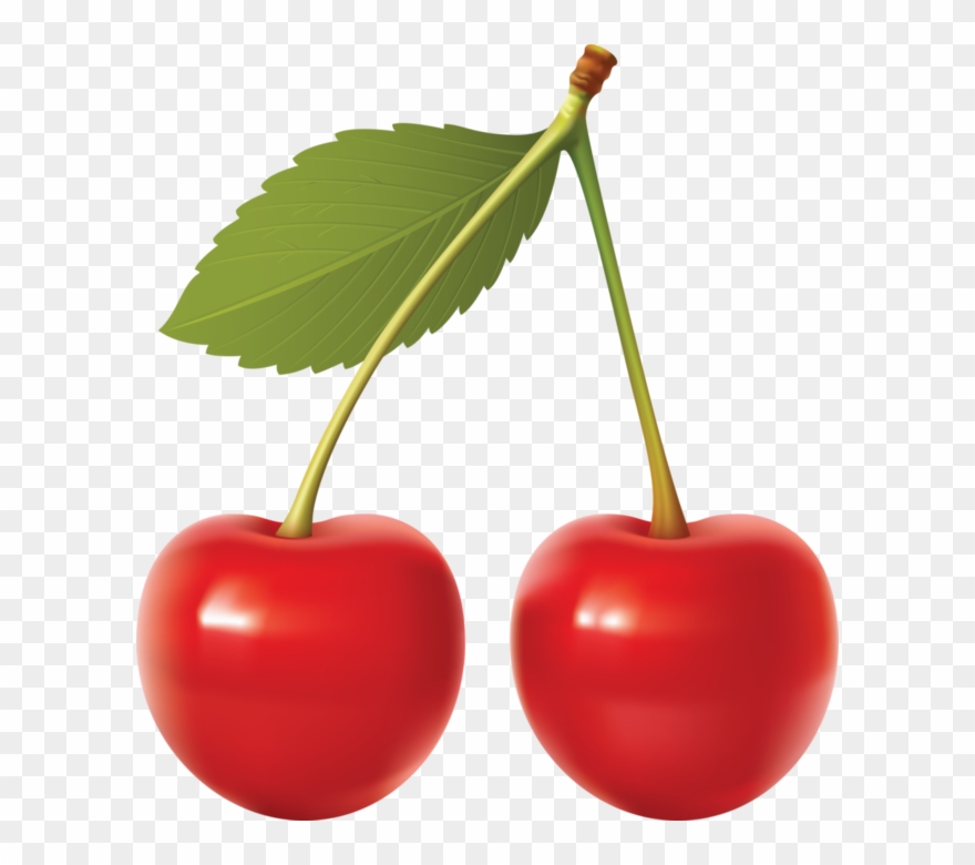 5fbdb6f5e3c3 Cherry Fruit, Cherry Tree, Sweet Cherries, Clipart