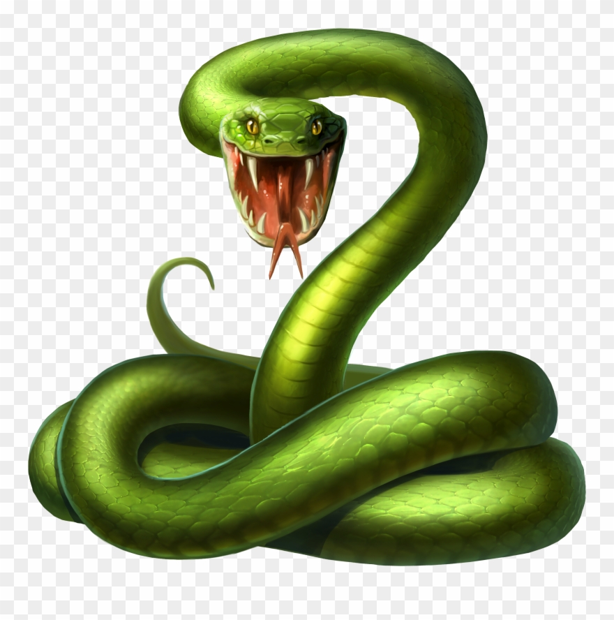 Snake Android Illustration Green Clipart
