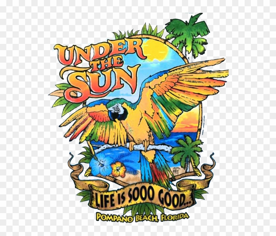 Our Website Is Under Construction, Everglade Tours Clipart