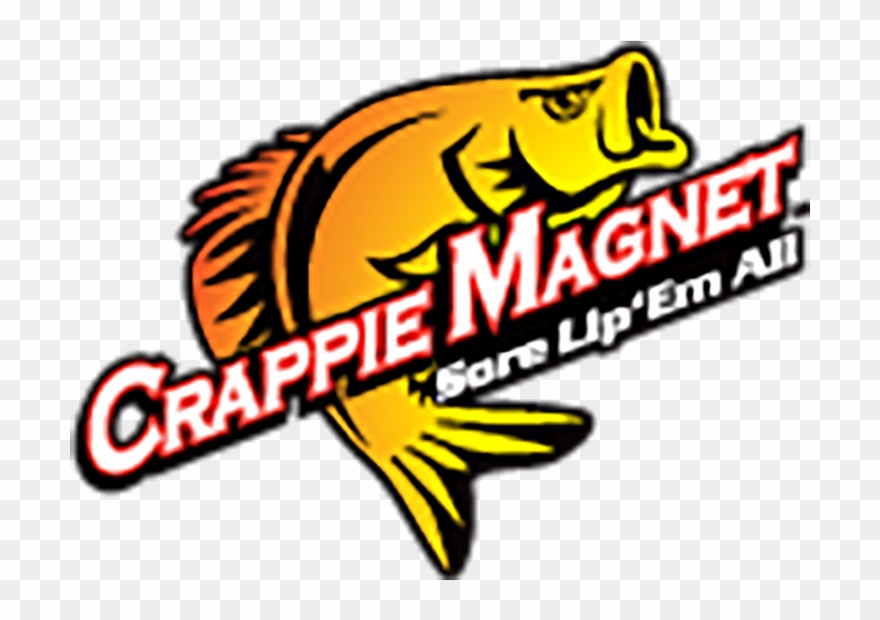 Past Season Highlights Clipart