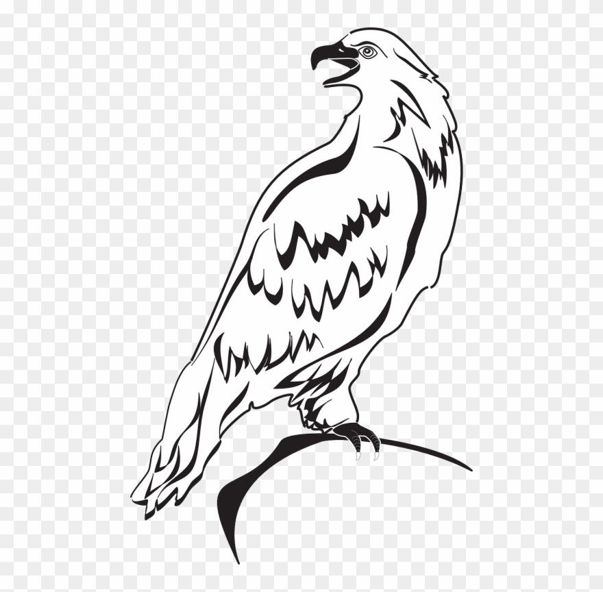 Eagle Wings Spread Clipart - Png Download