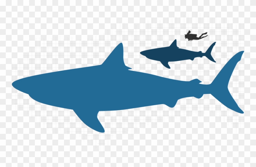 Divers Love Our Dive Gear Selection, Equipment Rental, Clipart