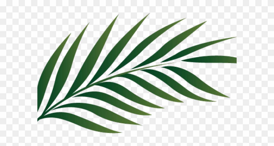 Green Leaves Clipart Coconut Leave - Png Download