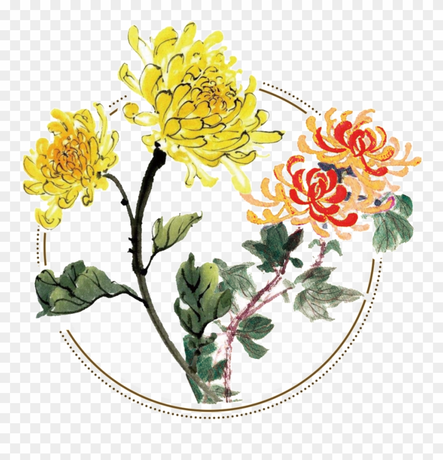 Fresh Two Tone Hand Painted Chrysanthemum Decorative Clipart