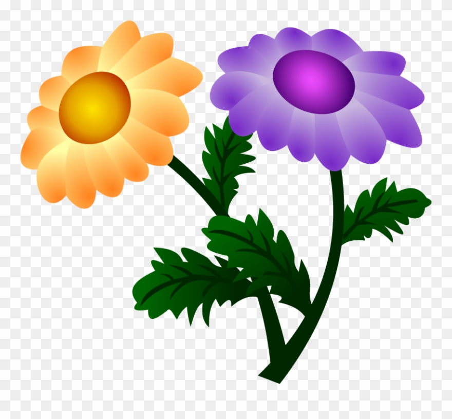 Vector Chrysanthemum Clipart