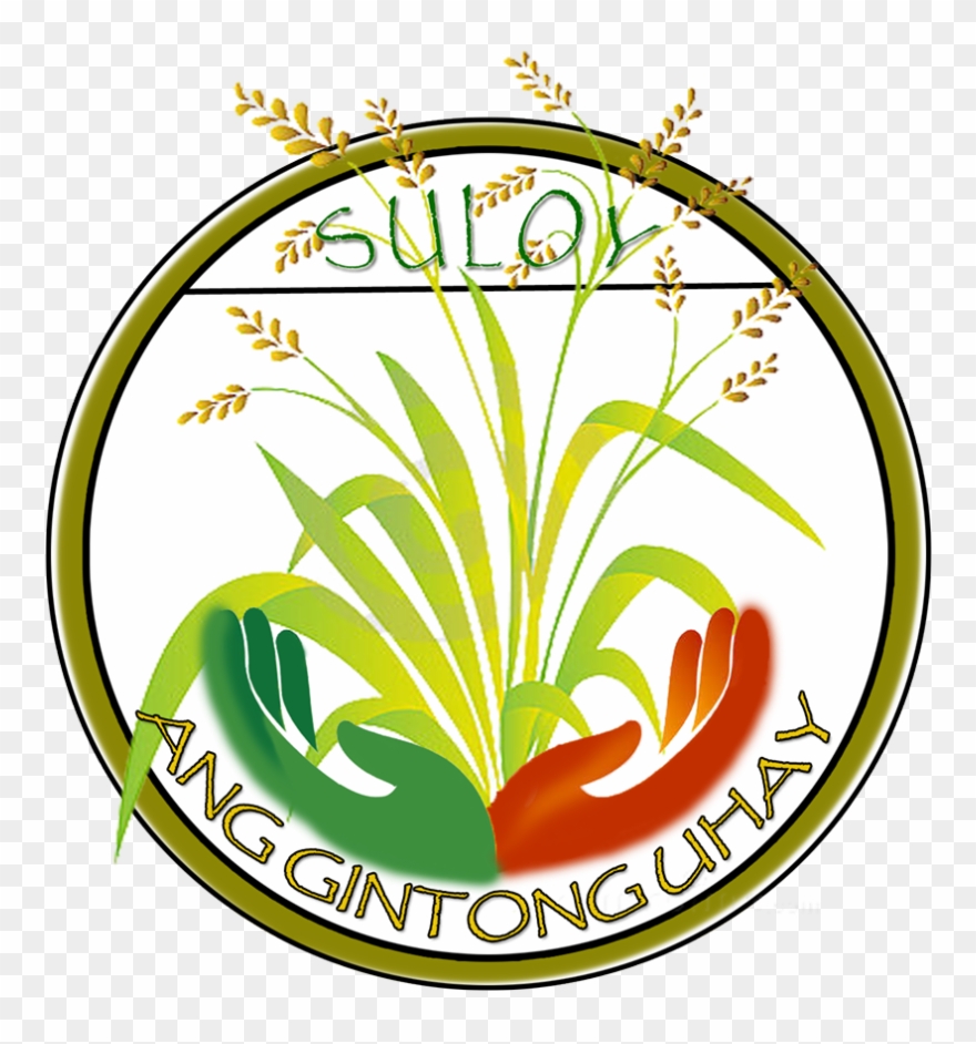 Clipart Royalty Free Carrageenan Clipground Rice Technology - Png Download