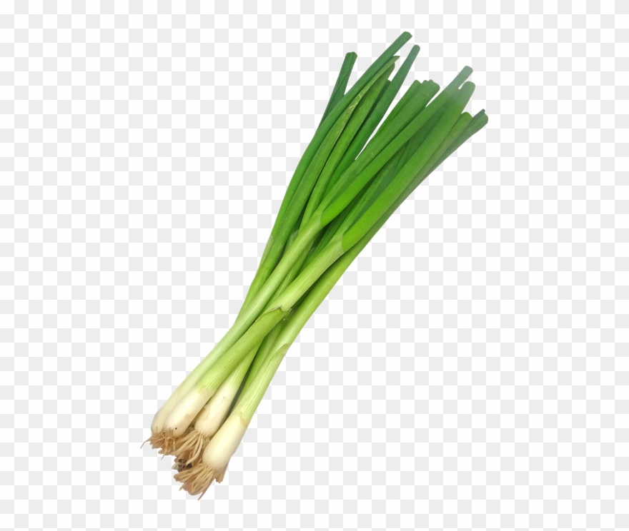 Leek Png Clipart