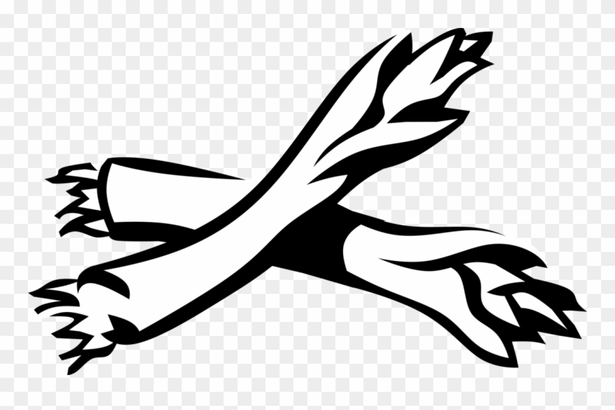 Vector Illustration Of Bundled Sheath Edible Vegetable Clipart