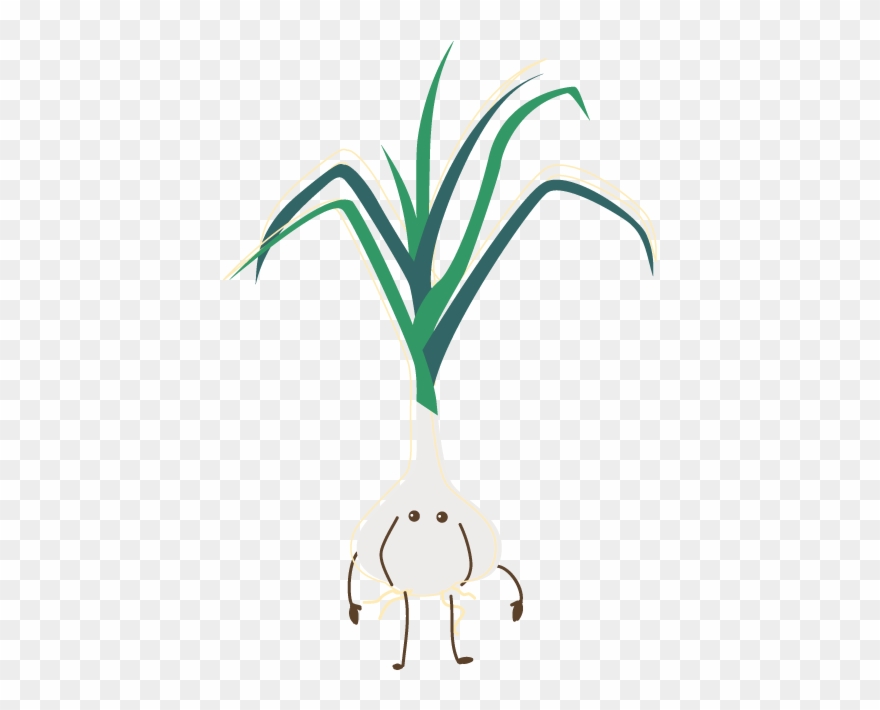 Title Of Piece Or Info Clipart