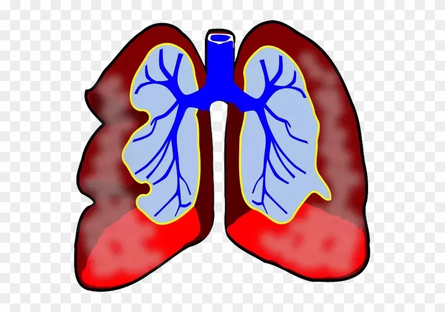 Image Freeuse Stock What Is The Longest Possible Word Clipart