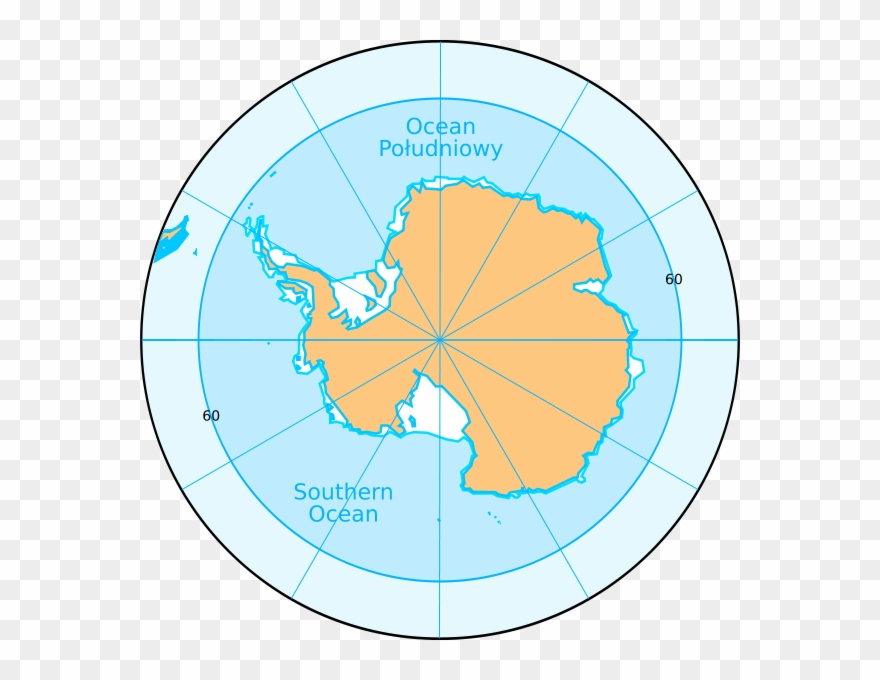 Sponges In Ocean Clipart