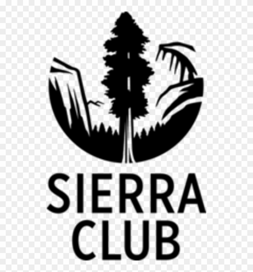 Shannon Fabiani, Cce's Water And Ecology Specialist, Clipart