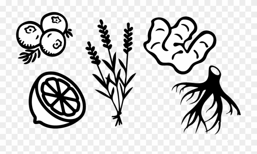 Ingredients Clipart