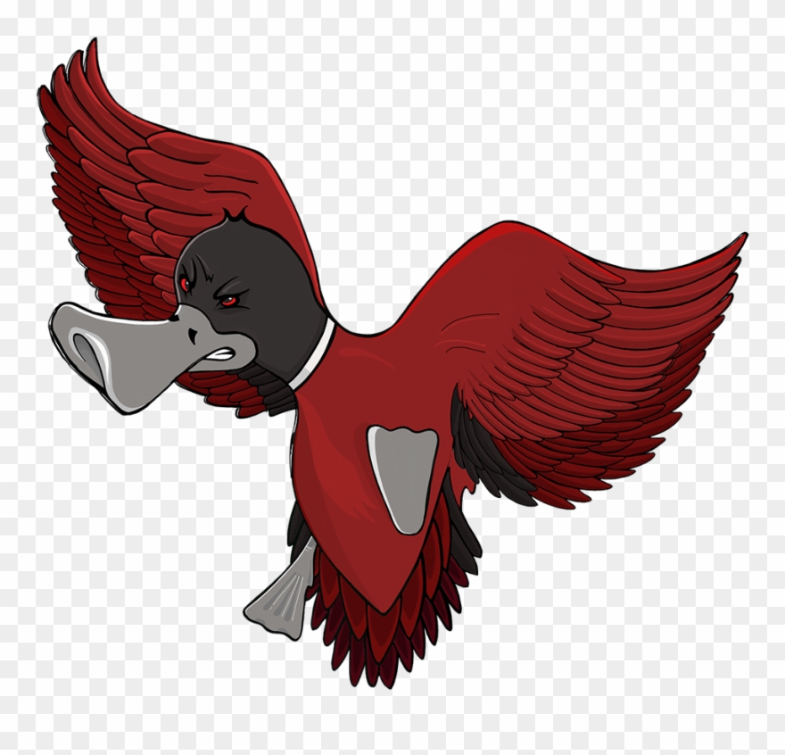 We Design Build Excite Flying Duck Clipart