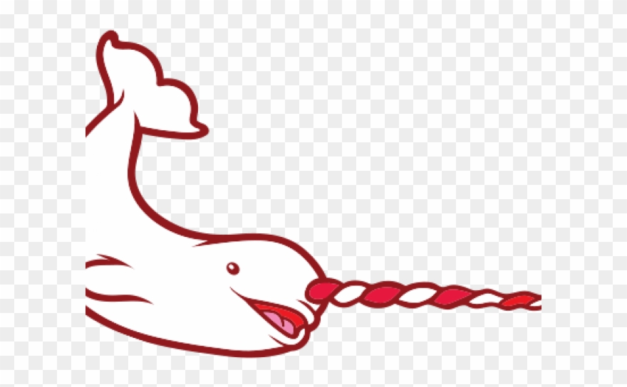 Narwhal Clipart Team - Png Download