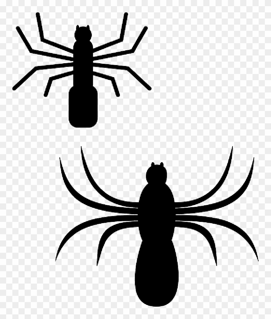 Clip Art Transparent Library Free Pictures Images Found - Png Download