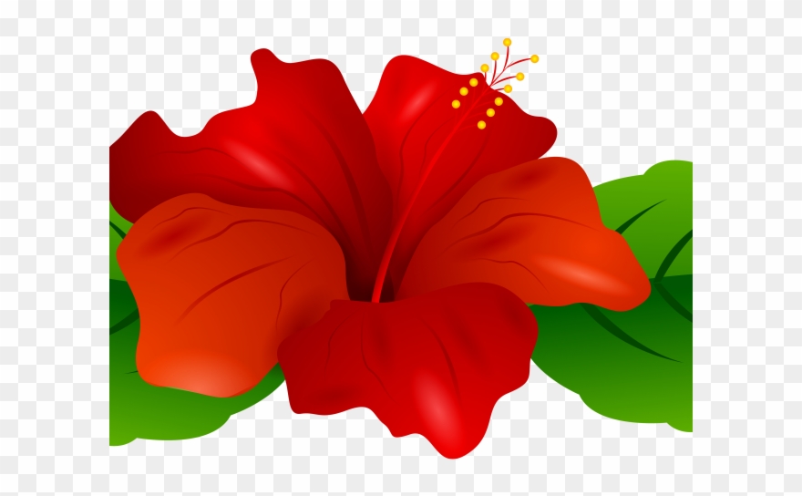Small Clipart Hibiscus - Png Download