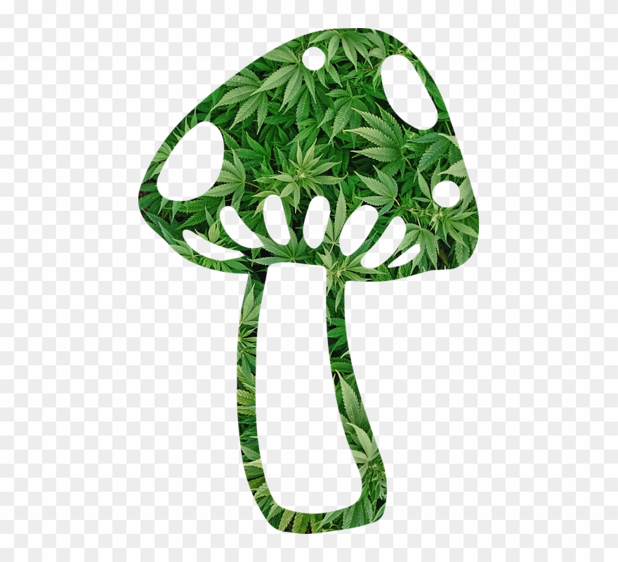 Mushroom, Shroom, Weed, Fungi, Fungus, Psychedelic Clipart