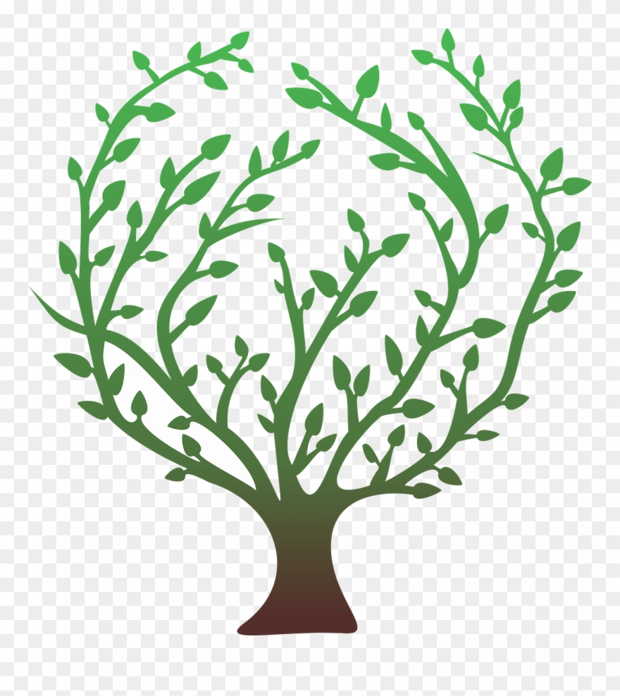 Tree Green Nature Plant Leaves Png Image Clipart