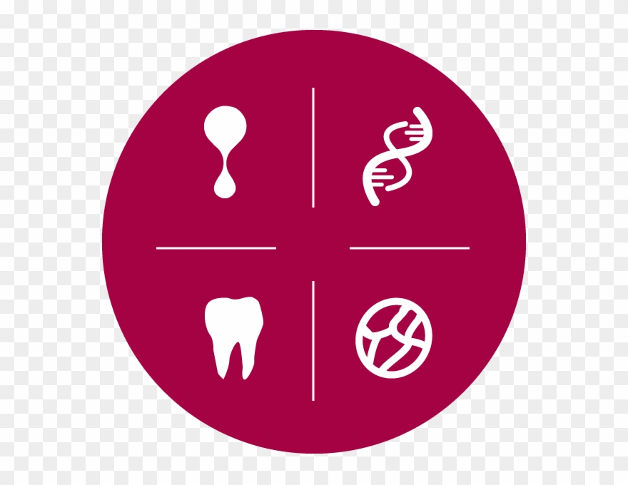 The Umbilical Cord Collection Process Clipart