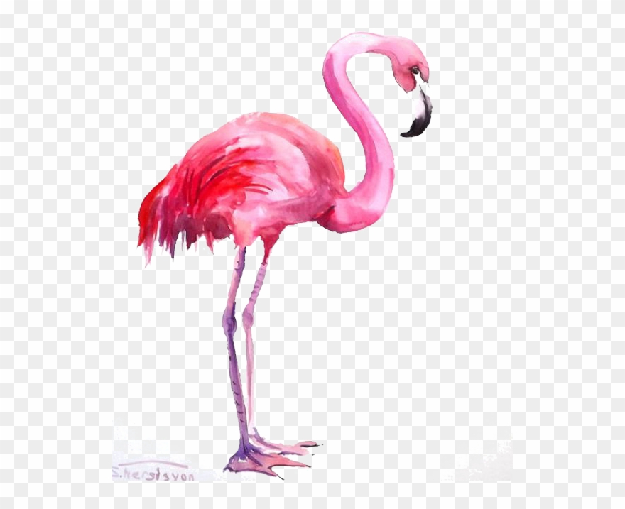 Flamingo Watercolor Painting Clipart - Full Size Clipart (#2460364) - Pinclipart