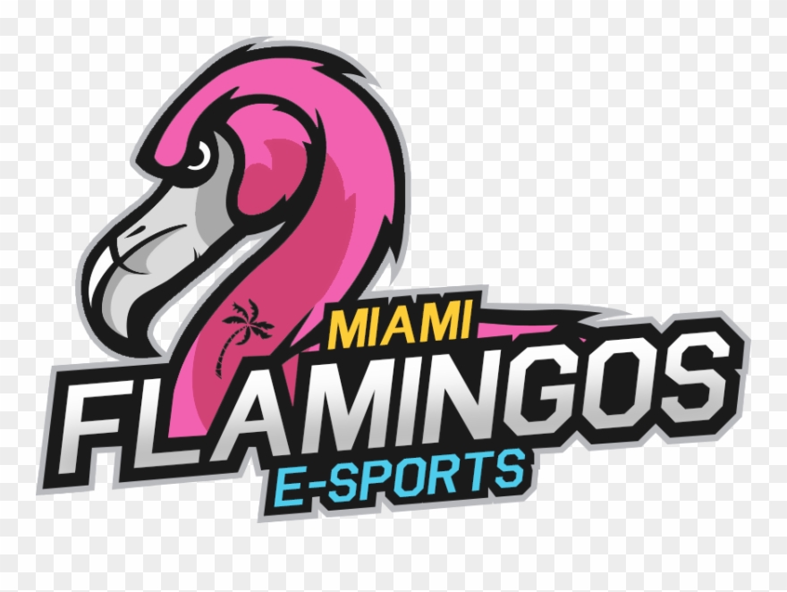 Vireo Clipart Vlog - Png Download