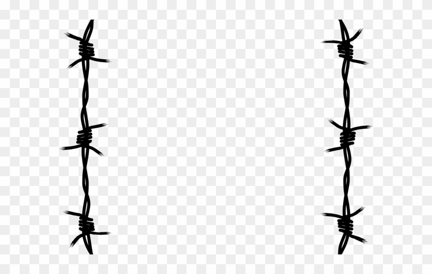 Barbed Wire Clipart Concertina Wire - Png Download