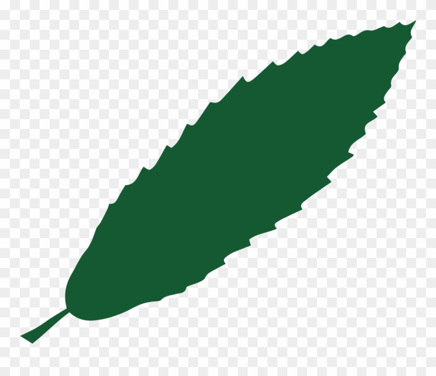 Sweet Chestnut Clipart