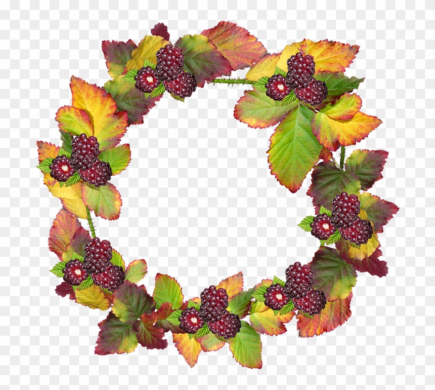 Free Photo Border Frame Clipart