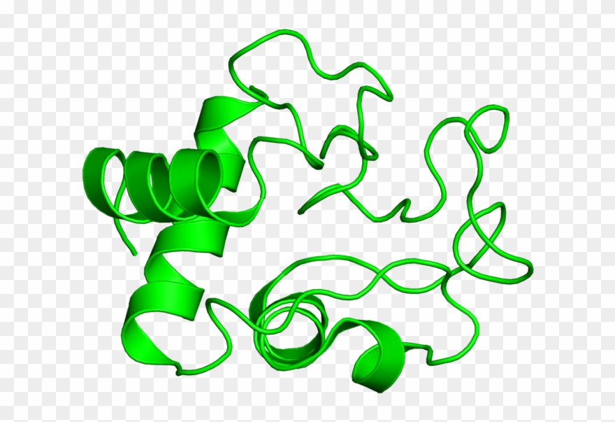 <div Class='caption-body'>1 Copy Of Scop Domain < Clipart