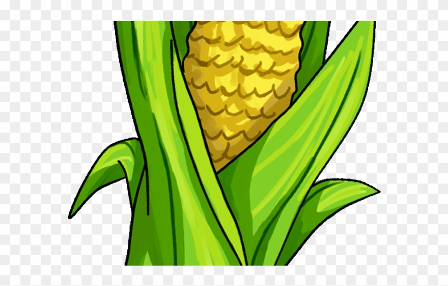 Obey Clipart Fruit - Png Download