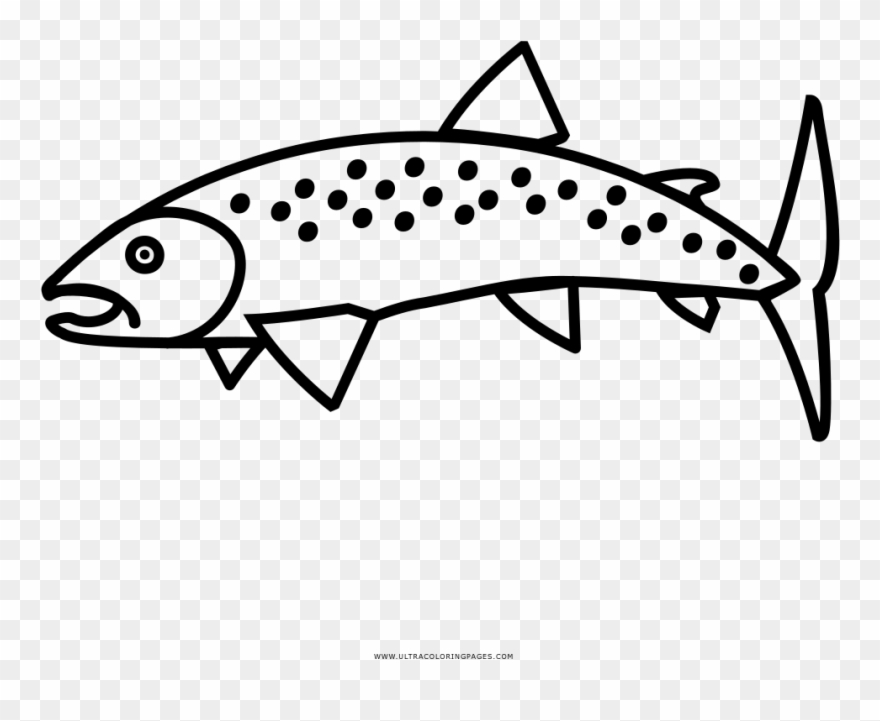 Trout Clipart