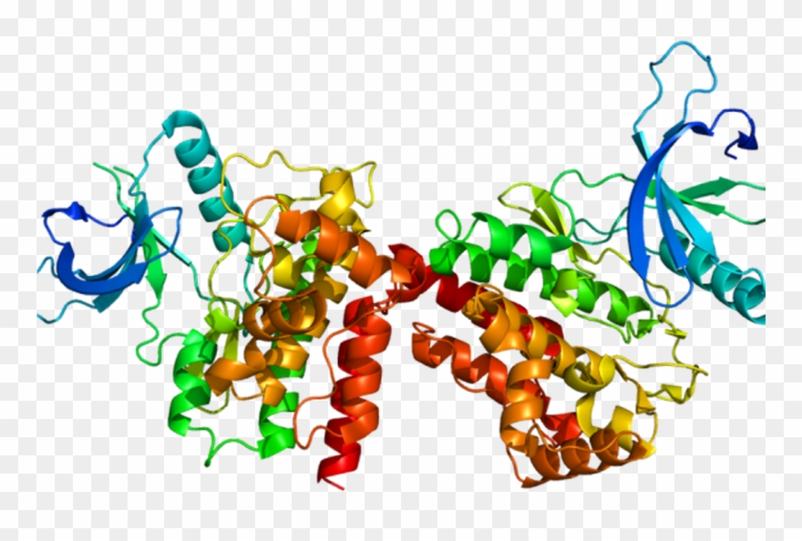 For Treatment Of Polycythemia Vera, Fda Approves Jakafi, Clipart