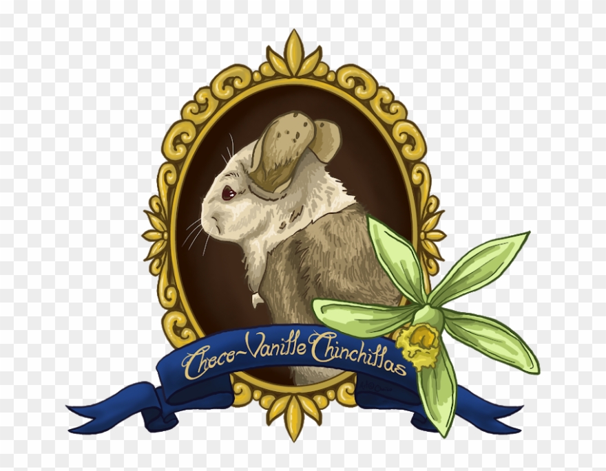 Élevage Choco-vanille Chinchillas Clipart