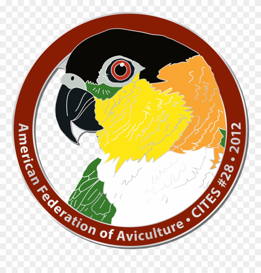 Cites 28 Pin Clipart