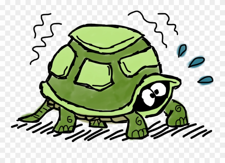Tortoise Clipart