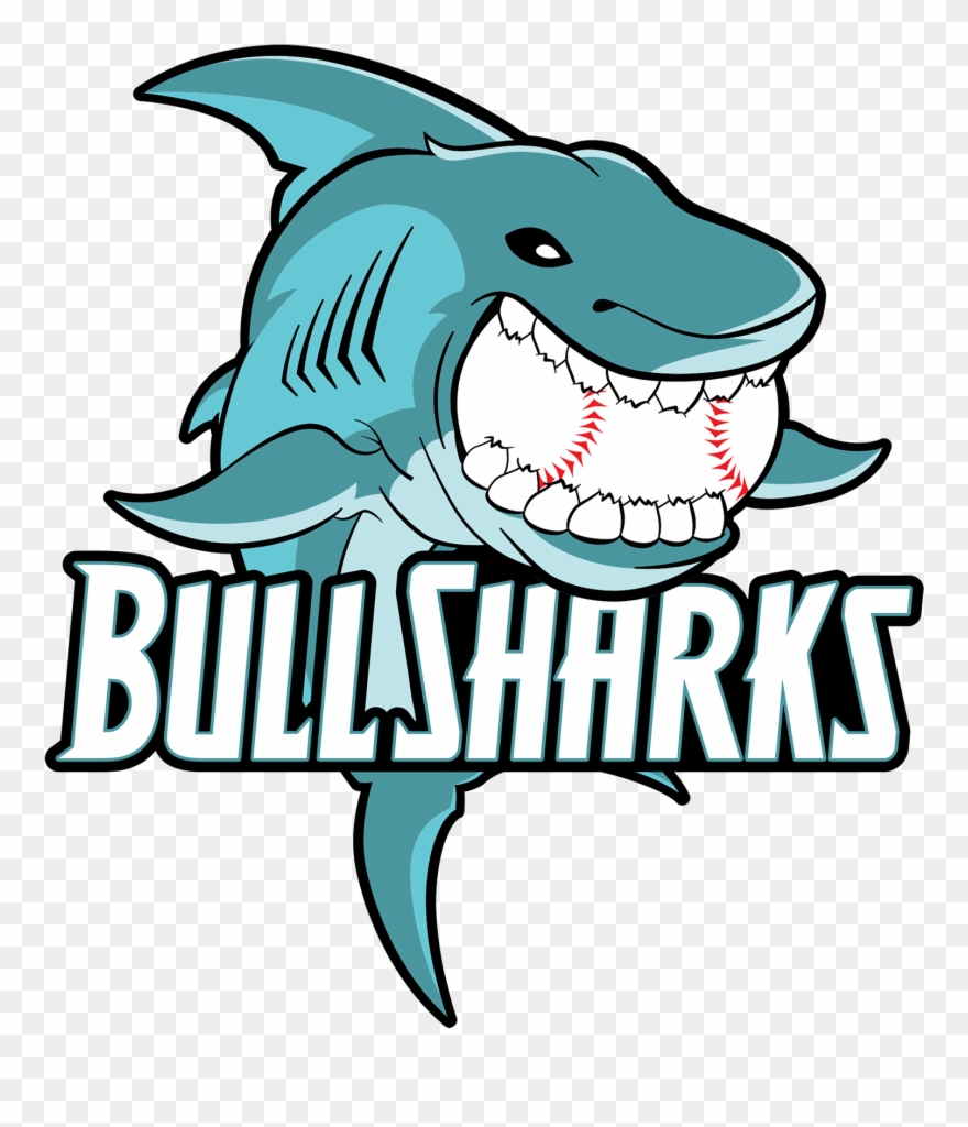 Bull Sharks Clipart