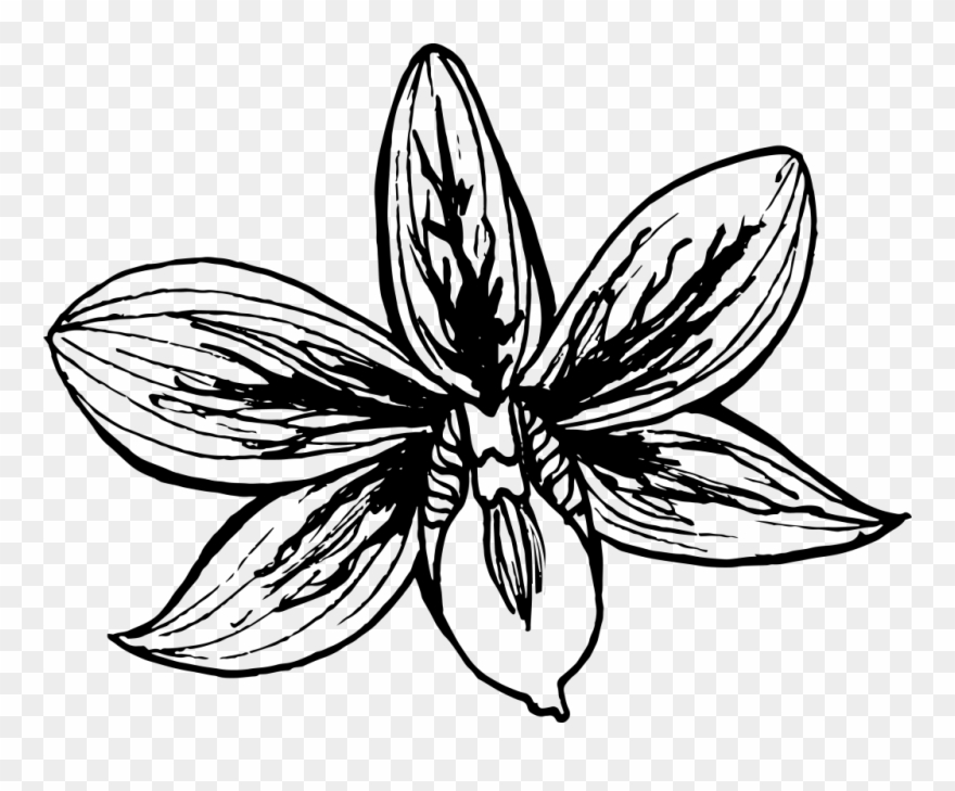 I Was Working On More Detailed And High-res Motifs Clipart