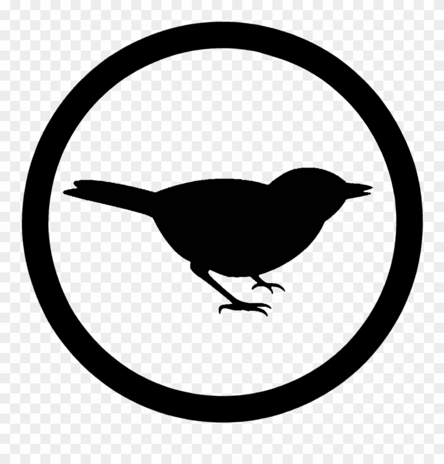 Bird Creatures Life Clipart