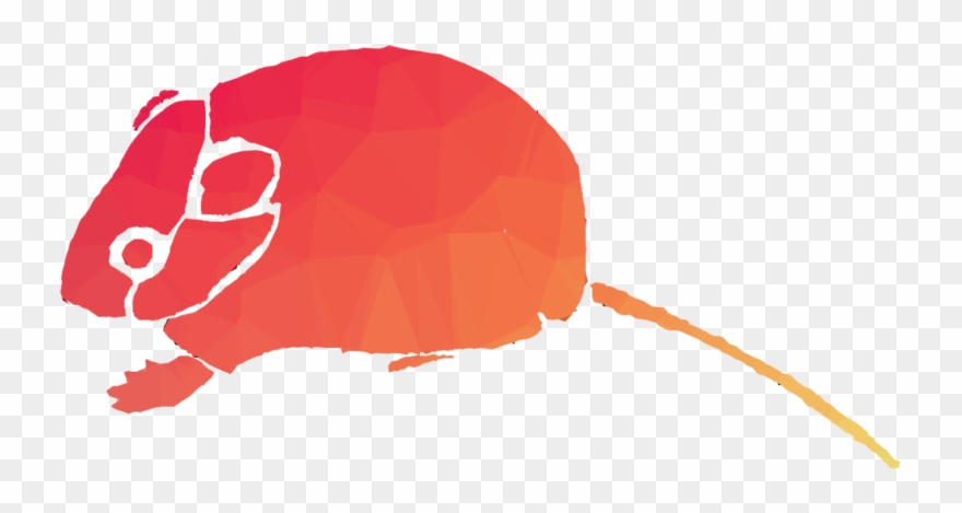 Chinese New Year 2011 Clipart Gerbil Computer Mouse - Png Download