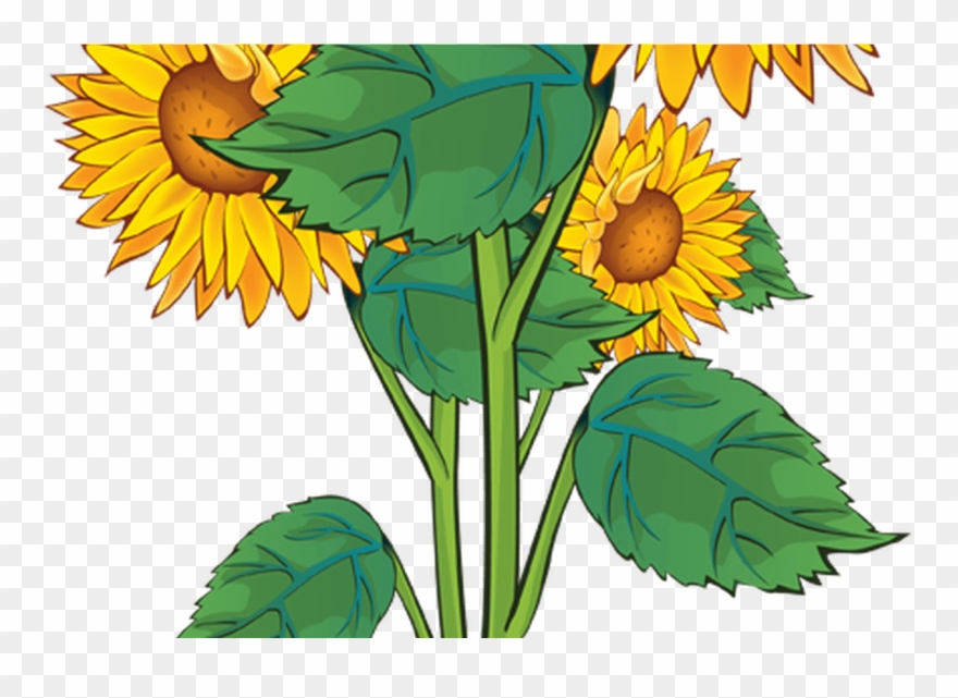 Summer Flower Border Clip Art Free Gardening Flower - Png Download